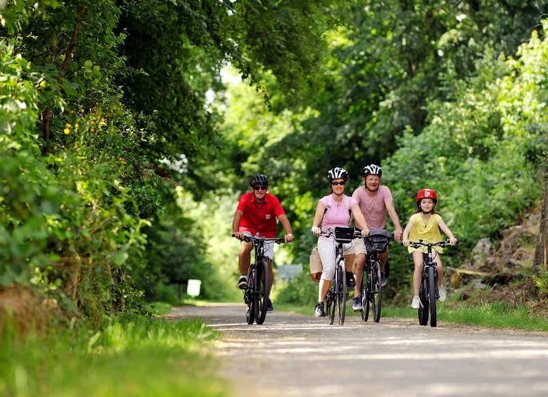 Vélo de route La Torchamp des Possibles à vélo — Domfront