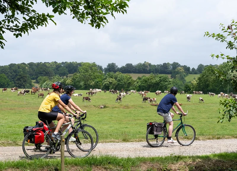 Vélo de route Le Bocage Ornais à vélo — Flers