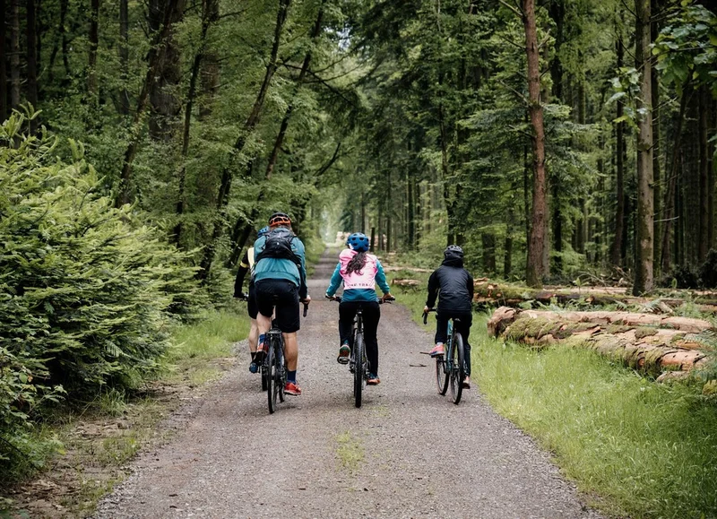 Vélo de route 36 Les Monts d'Andaine - Parcours gravel — Bagnoles-de-l'Orne