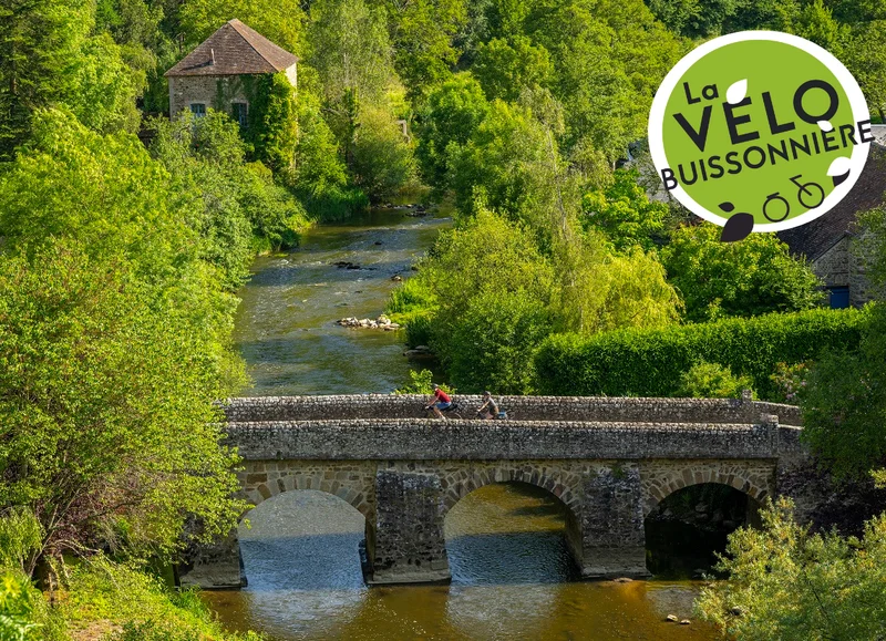 Vélo de route La Vélobuissonnière® : d'Alençon à Saumur — Alençon