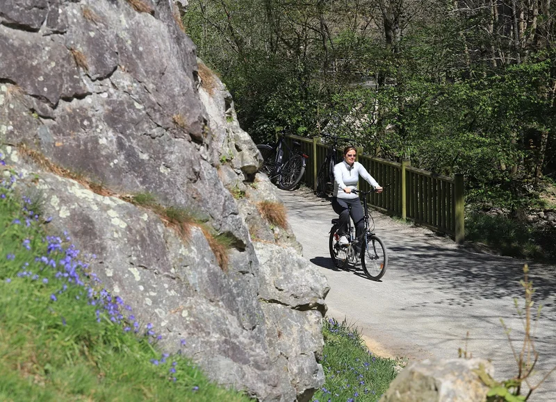 Vélo de route Voie verte : Flers - Domfront en Poiraie — La Selle-la-Forge