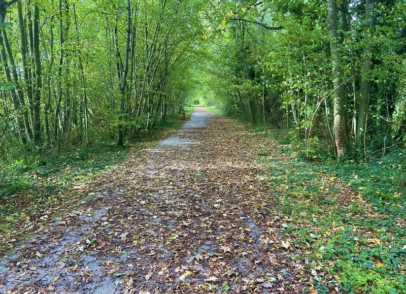 Vélo de route Voie Verte : Vimoutiers à Livarot — Vimoutiers