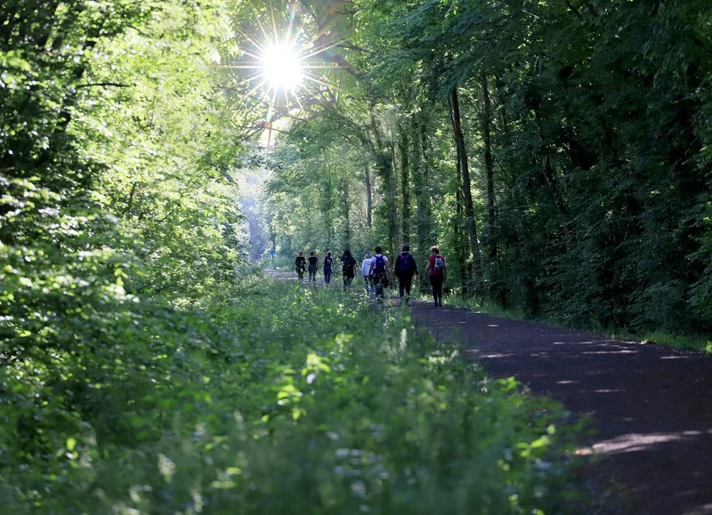 Vélo de route Voie verte : Alençon - Rives d'Andaine · Damigny