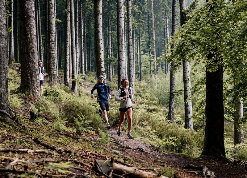 Trail 03 Le Verdier d'Ecouves - Station de Trail® Massif d'Ecouves — Saint-Nicolas-des-Bois