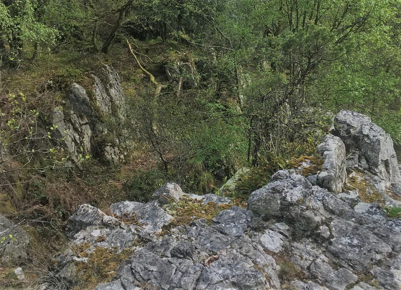 Trail 10 Champsecret - Station de Trail® Bagnoles Normandie — Champsecret