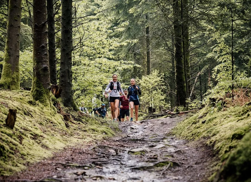 Trail 07 La Diable - Station de Trail® du Massif d'Ecouves — Radon