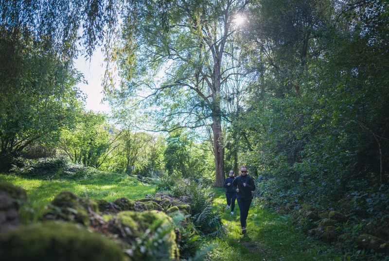 Trail 15 La Forêt-Auvray - Suisse Normande Trail — La Forêt-Auvray