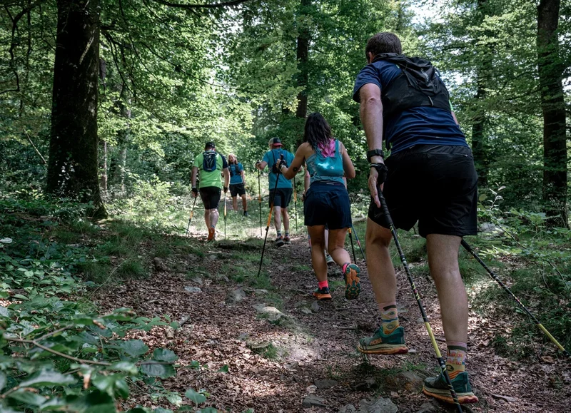 Randonnée 41 Tour en Gerome - Marche Nordique — Les Monts-d'Andaine