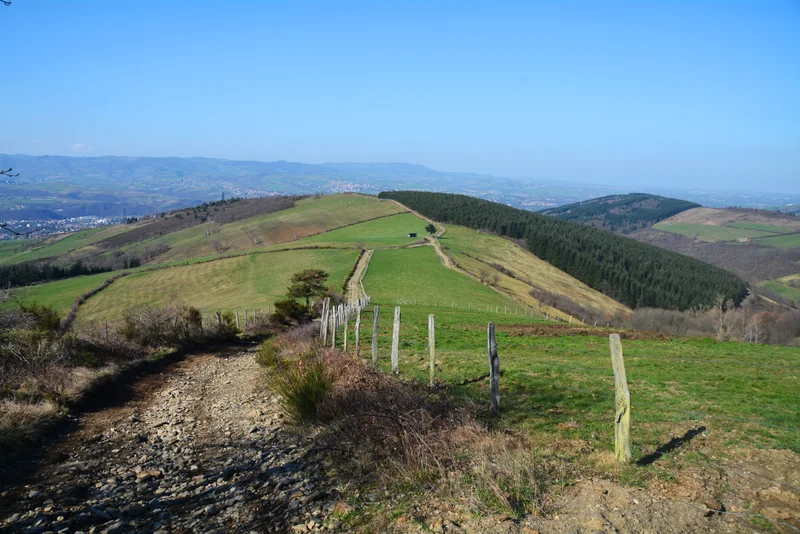 Randonnée Sentier des Croix - Farnay n° 3 — Farnay