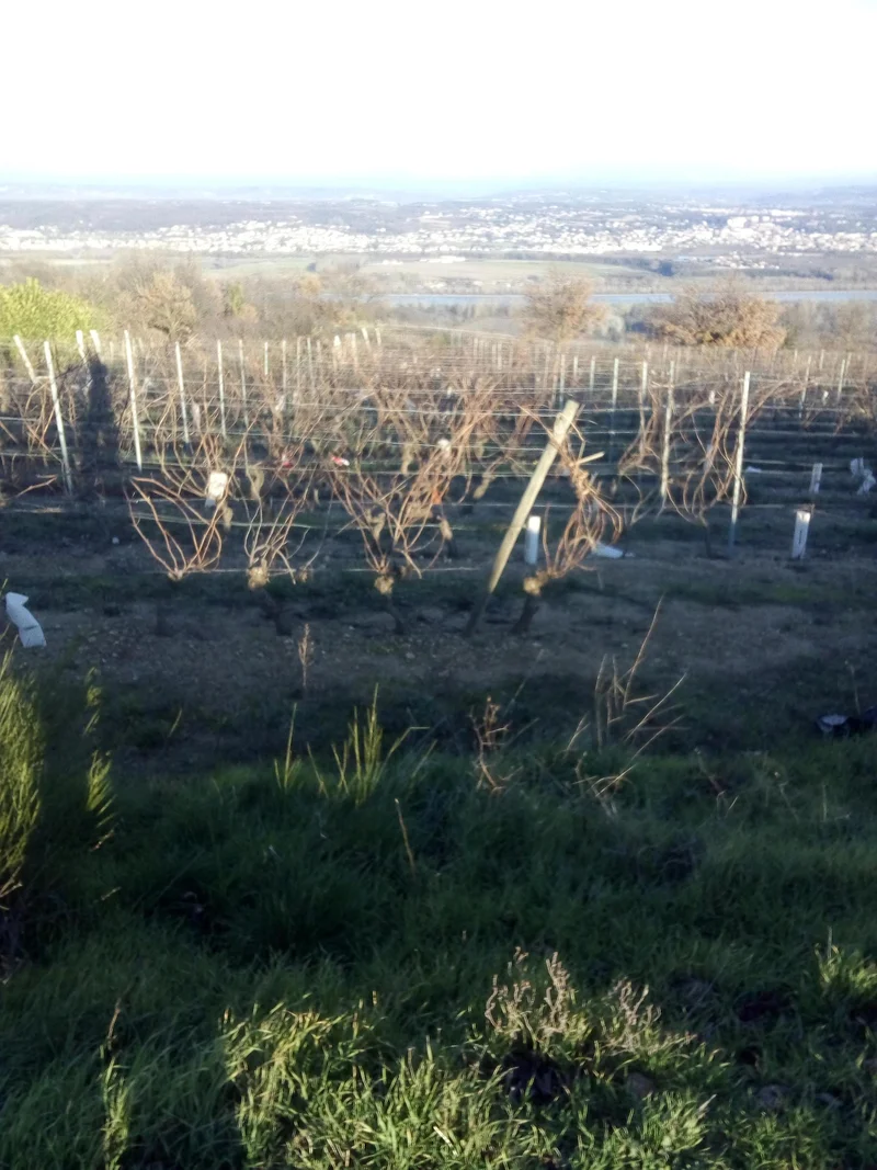 Randonnée Les hameaux de Chèzenas - Saint-Pierre de Boeuf N° 3 — Chézenas