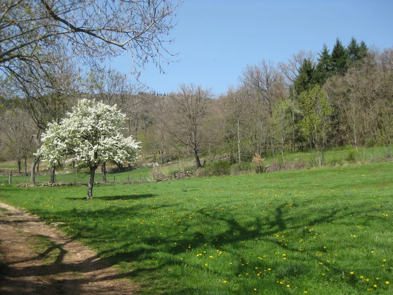 Randonnée Chavardet - Roisey n° 2 — Roisey