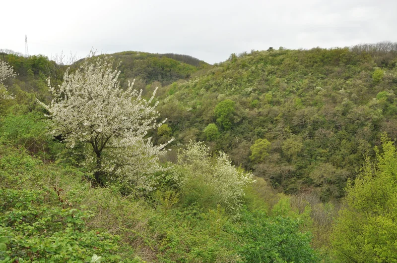 Randonnée Les Roches - Loire-sur-Rhône n°1 — Loire-sur-Rhône