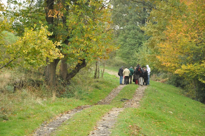 Randonnée Les Bruyères - St-Chamond n°7 — Saint-Martin en Coailleux
