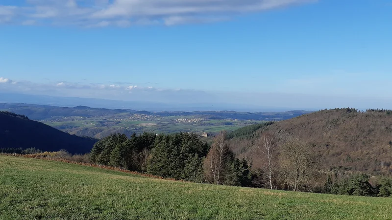 Randonnée Par Bois et Barlans - Le Chambon-Feugerolles n°3 — Le Chambon-Feugerolles