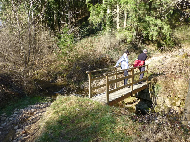 Randonnée Les Scies - La Roche - Doizieux n°3 — Doizieux