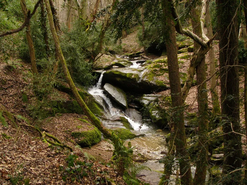 Randonnée Les hauteurs - Loire-sur-Rhône n°2 — Loire-sur-Rhône