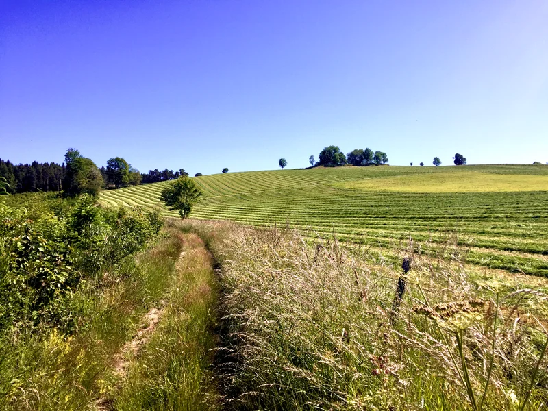 Randonnée La Faye-Joubert-Brodillon  - Marlhes n° 2 · Marlhes