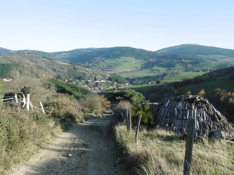 Randonnée Sentier du Bois Bouchat - La Terrasse-sur-Dorlay n° 2 — La Terrasse-sur-Dorlay