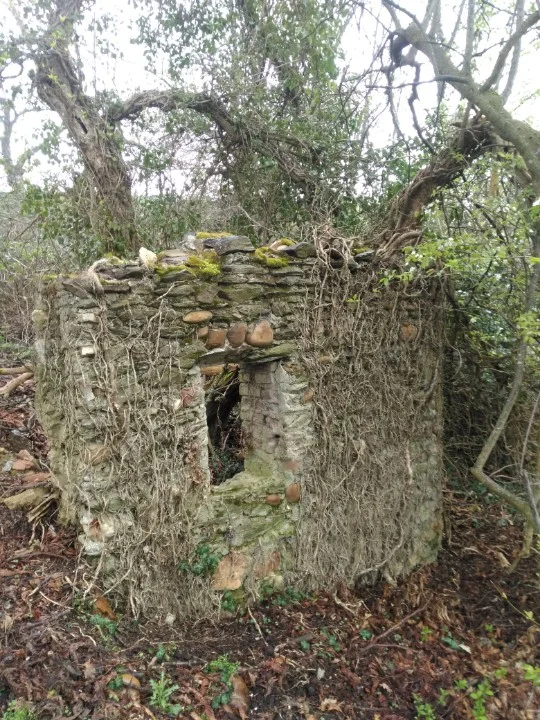 Randonnée Le Bataillard Saint-Romain-en-Gal n°2 — Saint-Romain-en-Gal