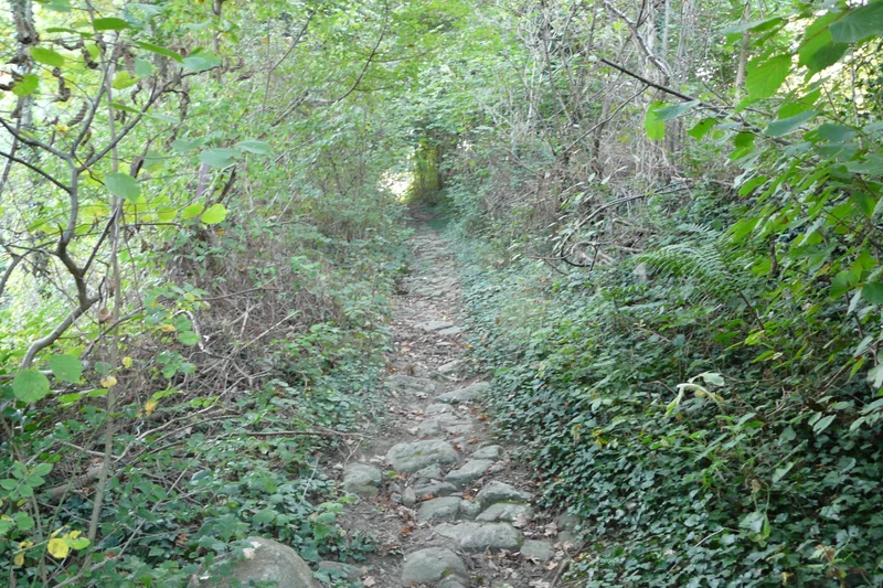 Randonnée Le Chemin des Crouzes - Pavezin n° 3 — Pavezin