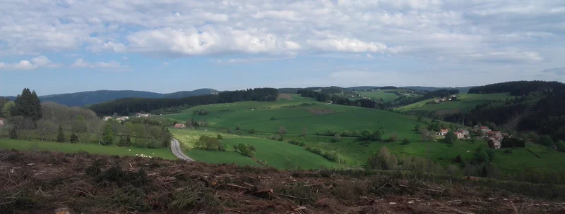 Randonnée Le Plateau entre Forêts et Prairies - Rochetaillée n° 3 · Rochetaillée