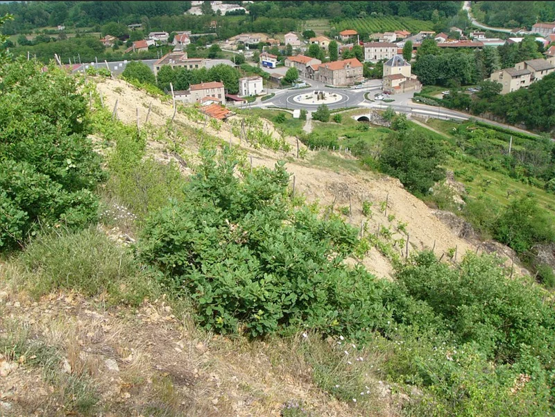Randonnée Le Bois Prieur - St-Pierre de Boeuf n°1 — Chézenas
