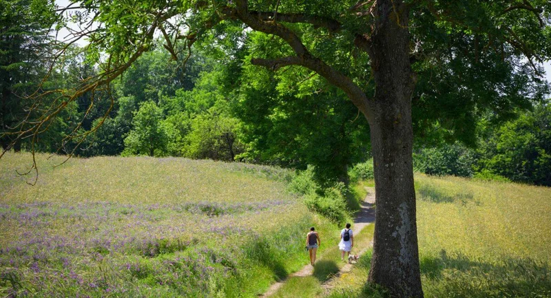 Randonnée Le Bois de Langonand - St Chamond n°3 — Saint-Chamond