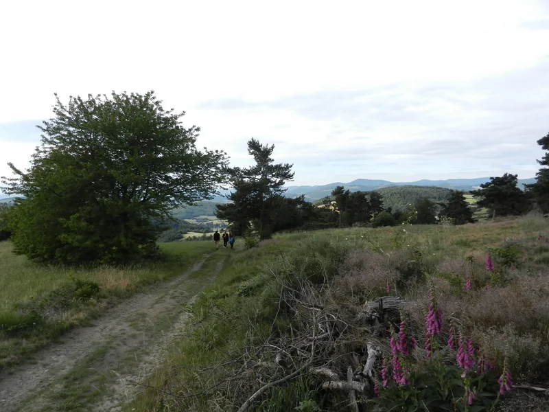 Randonnée Le Panorama du Lacat - Colombier n° 2 — Colombier