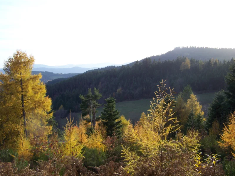 Randonnée Le Petit Chemin des Bois - Colombier n° 1 — Colombier