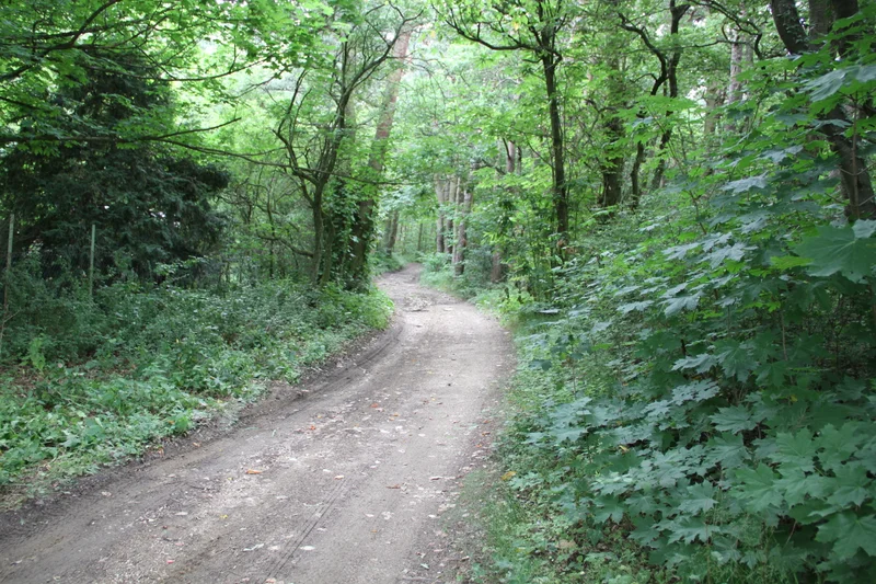 Randonnée Les coteaux du Gier - Echalas n° 2 — Échalas