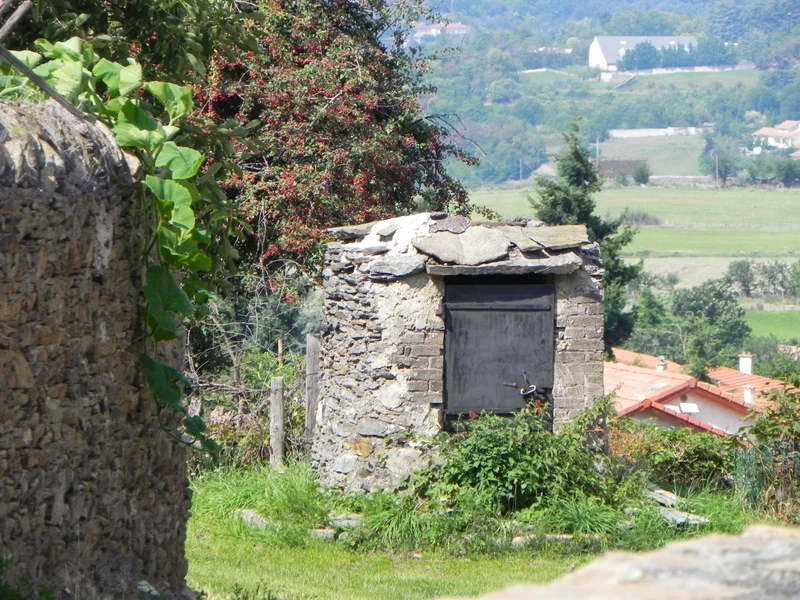 Randonnée De la Combe d'Enfer au Crêt des Moussières - Echalas n° 3 — Échalas