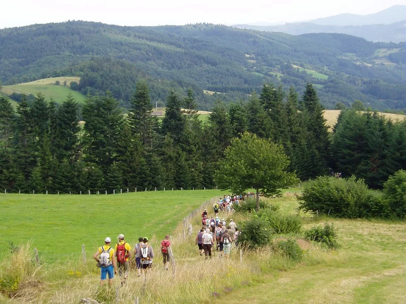 Randonnée Sentier du Bois Grézé - Graix n° 3 — Graix