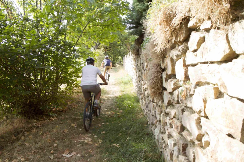 VTT VTT n°12 - Le huit de la Valencize - Difficulté bleu (VTTAE vert) — Pélussin