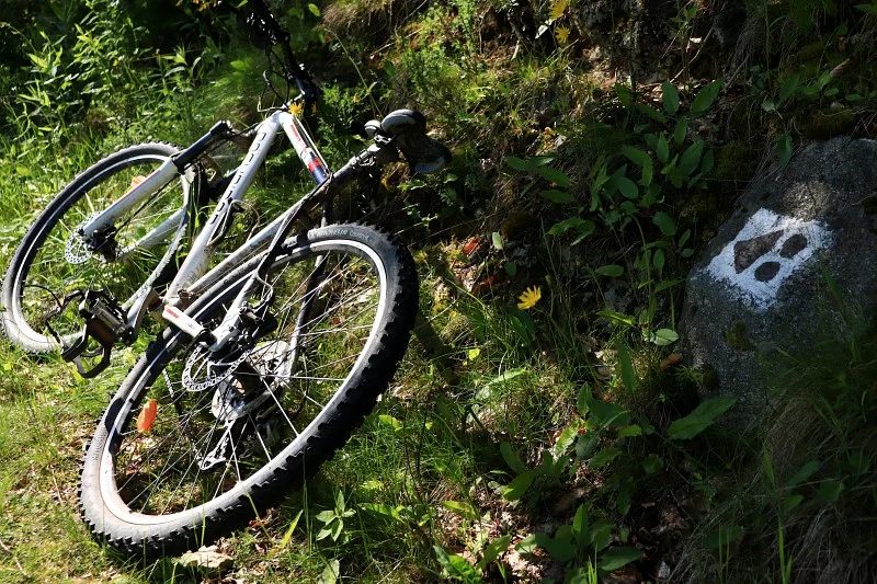 VTT VTT n°17 - La Barollière - Difficulté vert — Saint-Paul-en-Jarez