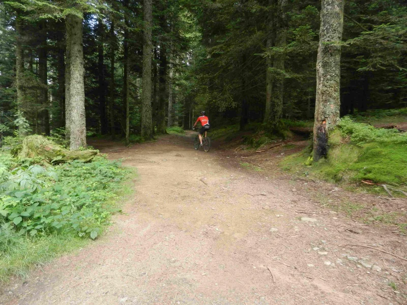 VTT VTT n°24 - Praveilles - Difficulté bleu (VTTAE bleu · Le Bessat