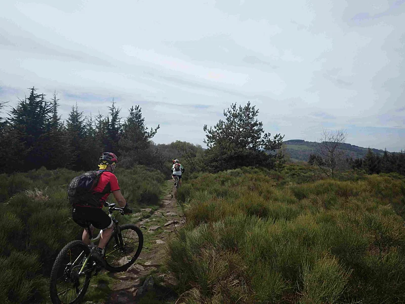 VTT VTT n°19 - Col de Grenouze - Difficulté bleu — Longes