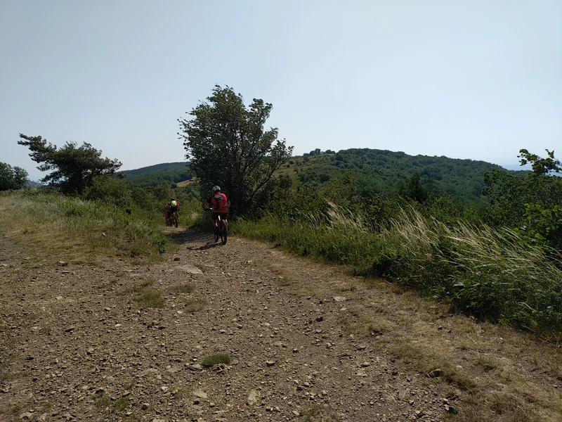 VTT VTT n°14 - Le Huit de Pavezin - Difficulté rouge — Chuyer