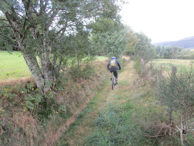 VTT VTT n°2 - Le Grand Bois - Difficulté noir — Bourg-Argental