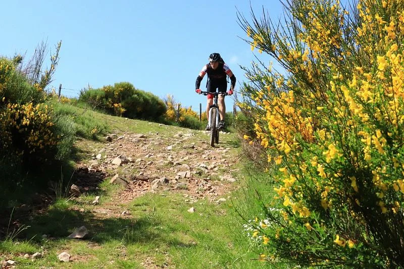 VTT VTT n°10 - La Croix de Montvieux - Difficulté noir — Pélussin