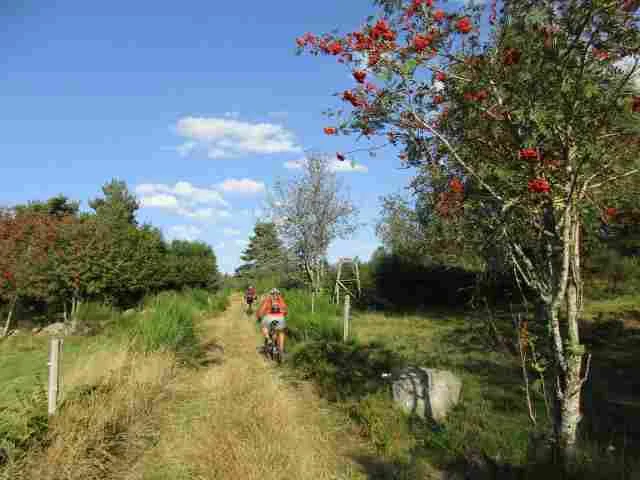VTT VTT n°25 - La Faye - Difficulté rouge — Marlhes