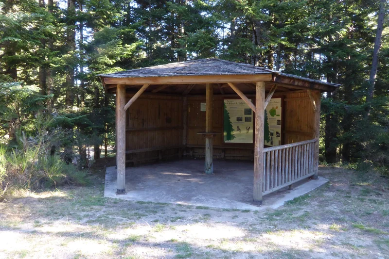 Randonnée Le Géant de Taillard - Sentier d'interprétation -St-Sauveur-en-Rue N°1 — Saint-Sauveur-en-Rue