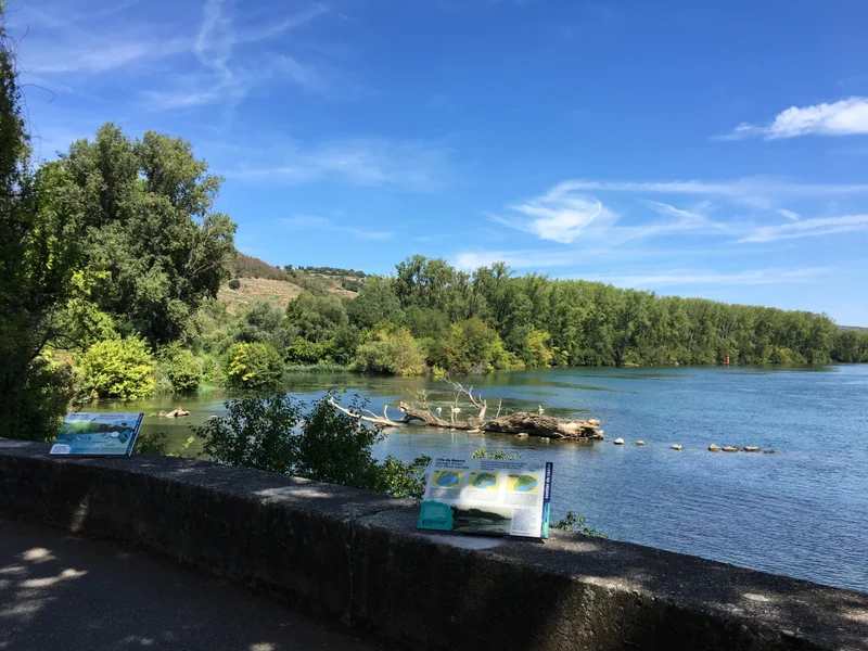 Randonnée Sentier de découverte du Castor de l'Ile du Beurre — Condrieu