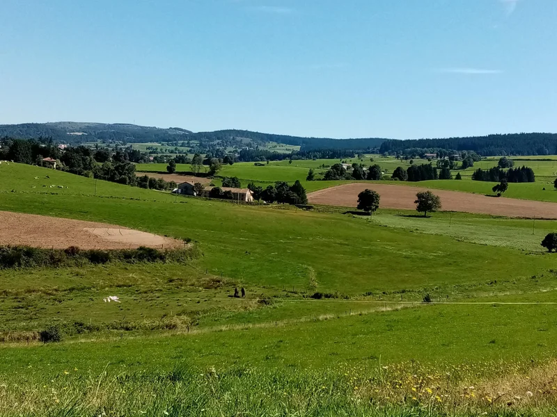 Randonnée Sentier du Sapée · Marlhes