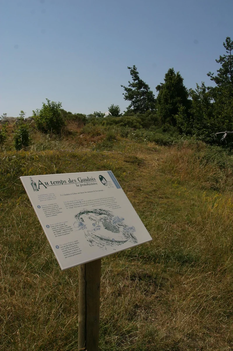 Randonnée Sentier de Saint-Sabin · Colombier