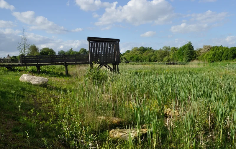 Randonnée Plailly, des champs aux bois — Plailly