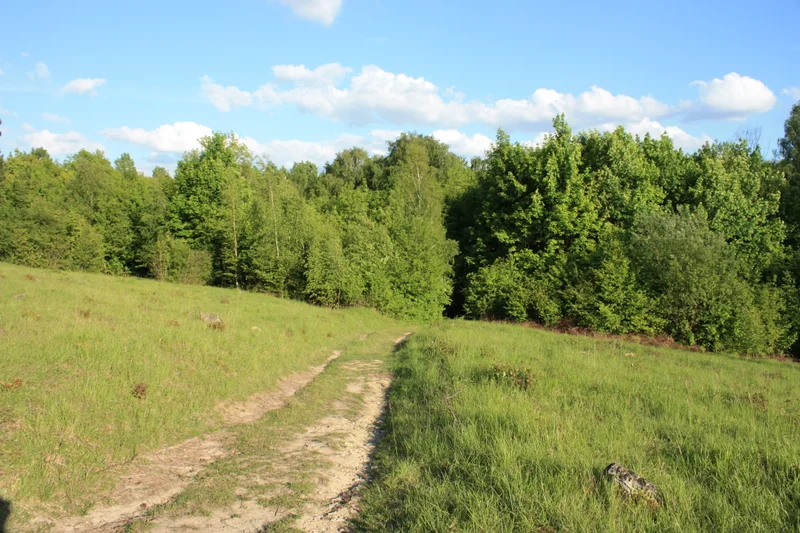 Randonnée M6 - Autour du bois de Morval — Guiry-en-Vexin