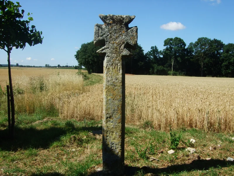 Randonnée JC5 - La Chaussée Jules César et la vallée de la Viosne — Boissy-l'Aillerie