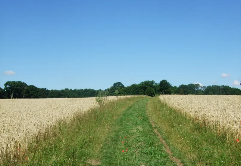 Randonnée JC2 - Les grands espaces — Le Bellay-en-Vexin