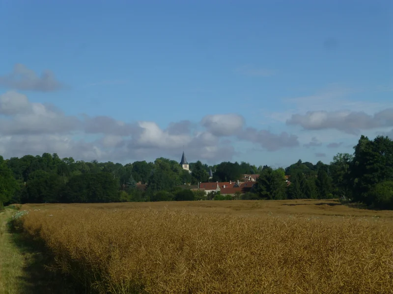 Randonnée M4 - la vallée de l'Aubette — Théméricourt