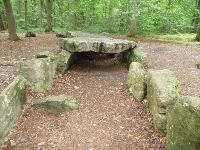 Randonnée En forêt de Carnelle — Presles